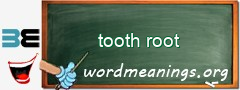 WordMeaning blackboard for tooth root